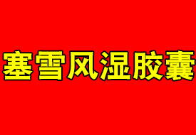 -ѩL(fng)z