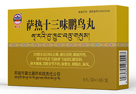 ����ʮ��ζ������