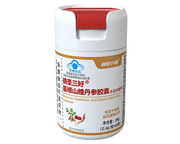 ��ʥ�����Ƹ��ɽ髵��ν���