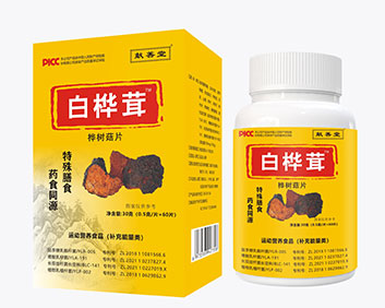 新献善堂白桦茸