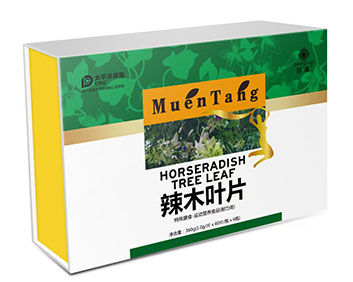 辣木叶片